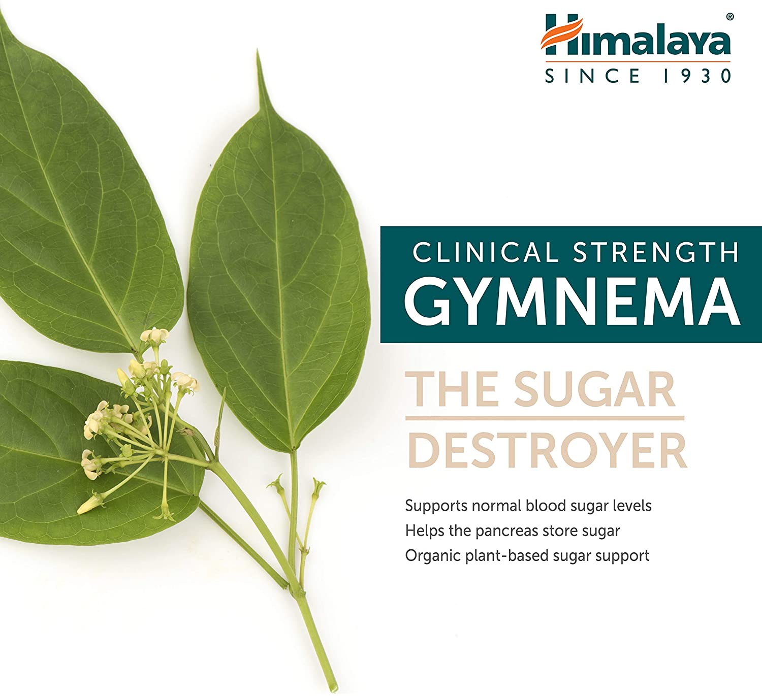 Himalaya Organic Gymnema for Blood Sugar Support and Metabolism, 700 mg, 60 Caplets - Image 4