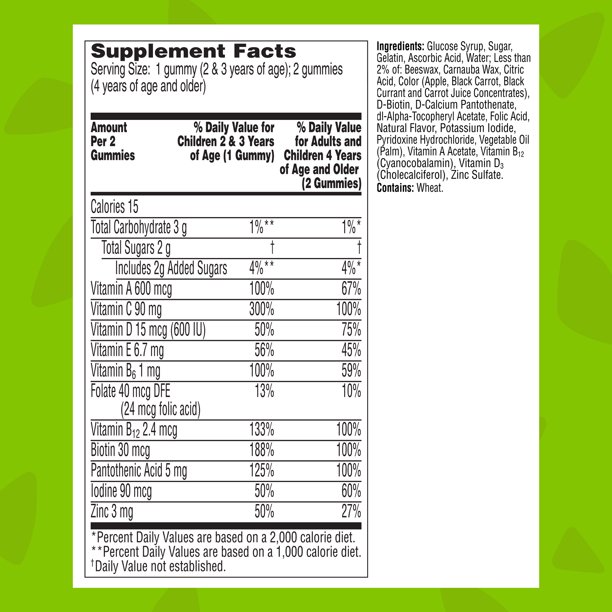 Flintstones Gummies Plus Immunity Support Children's Multivitamin, 60 Count - Image 3