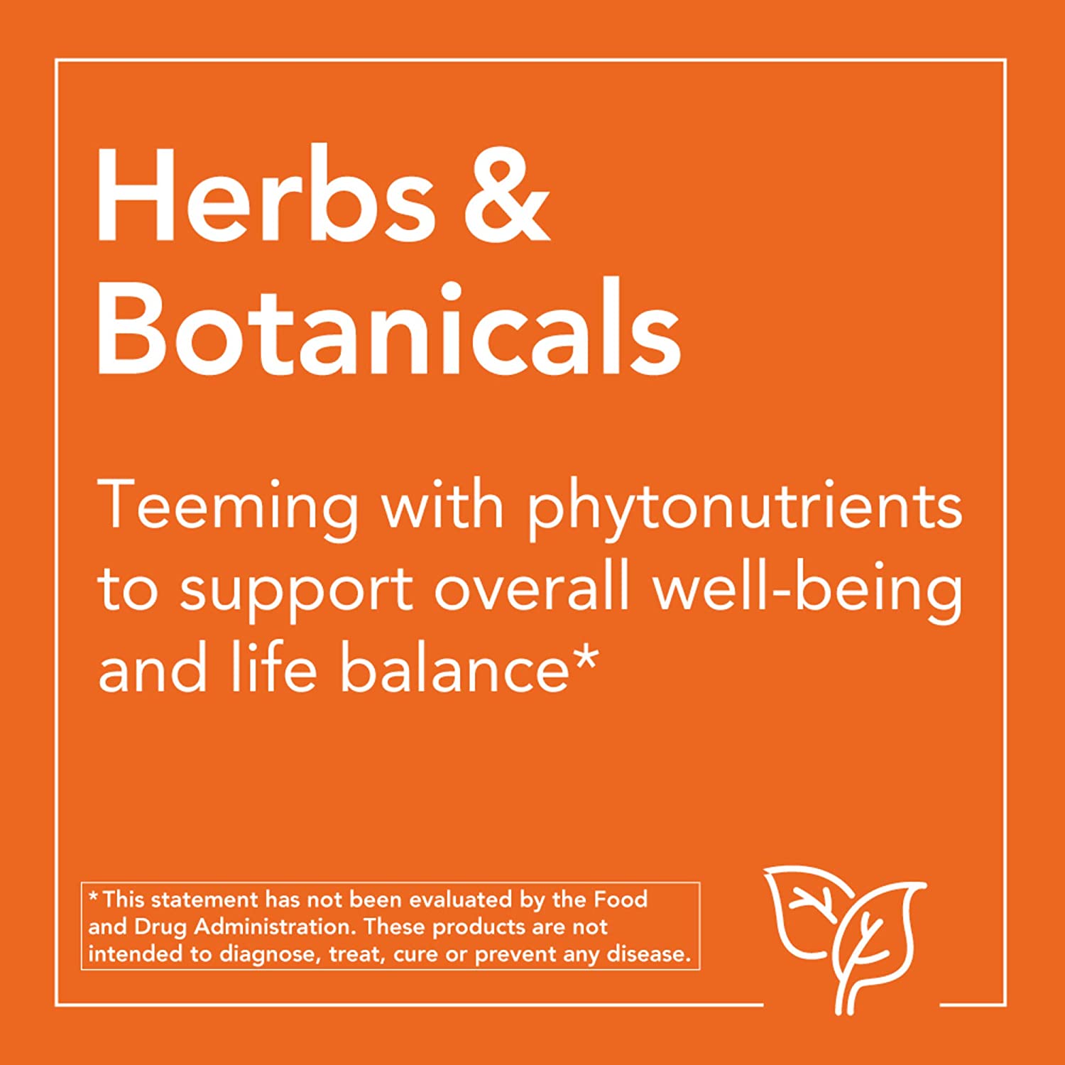 NOW Supplements, Liquid Chlorophyll, Super Concentrated, Internal Deodorizer*, Mint Flavor, 16-Ounce - Image 3