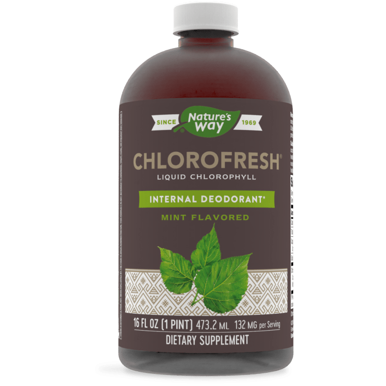 Nature's Way Chlorofresh Liquid Chlorophyll 16oz (Packaging May Vary) - Image 2