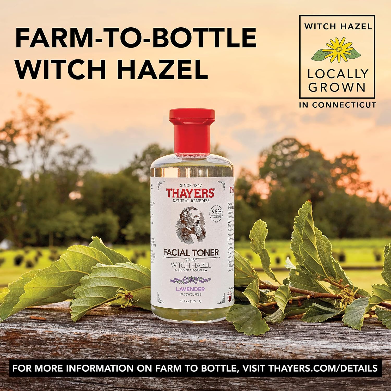 THAYERS Alcohol-Free, Hydrating Lavender Witch Hazel Facial Toner with Aloe Vera Formula, 12 oz - Image 3