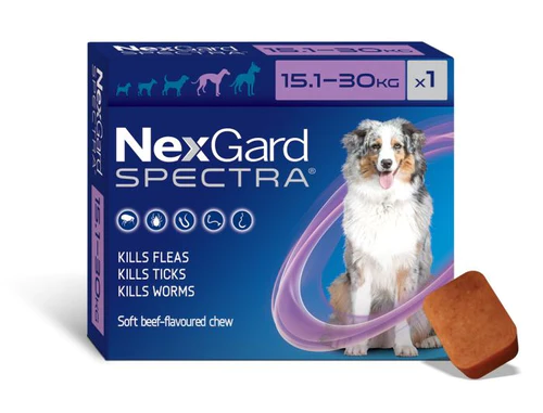 Nexgard Spectra Chewable Dog 15.1-30KG Single Chewable Tablet
