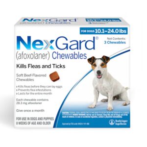 NexGard Flea & Tick Chewables for Dogs 10.1lbs - 24.0lbs