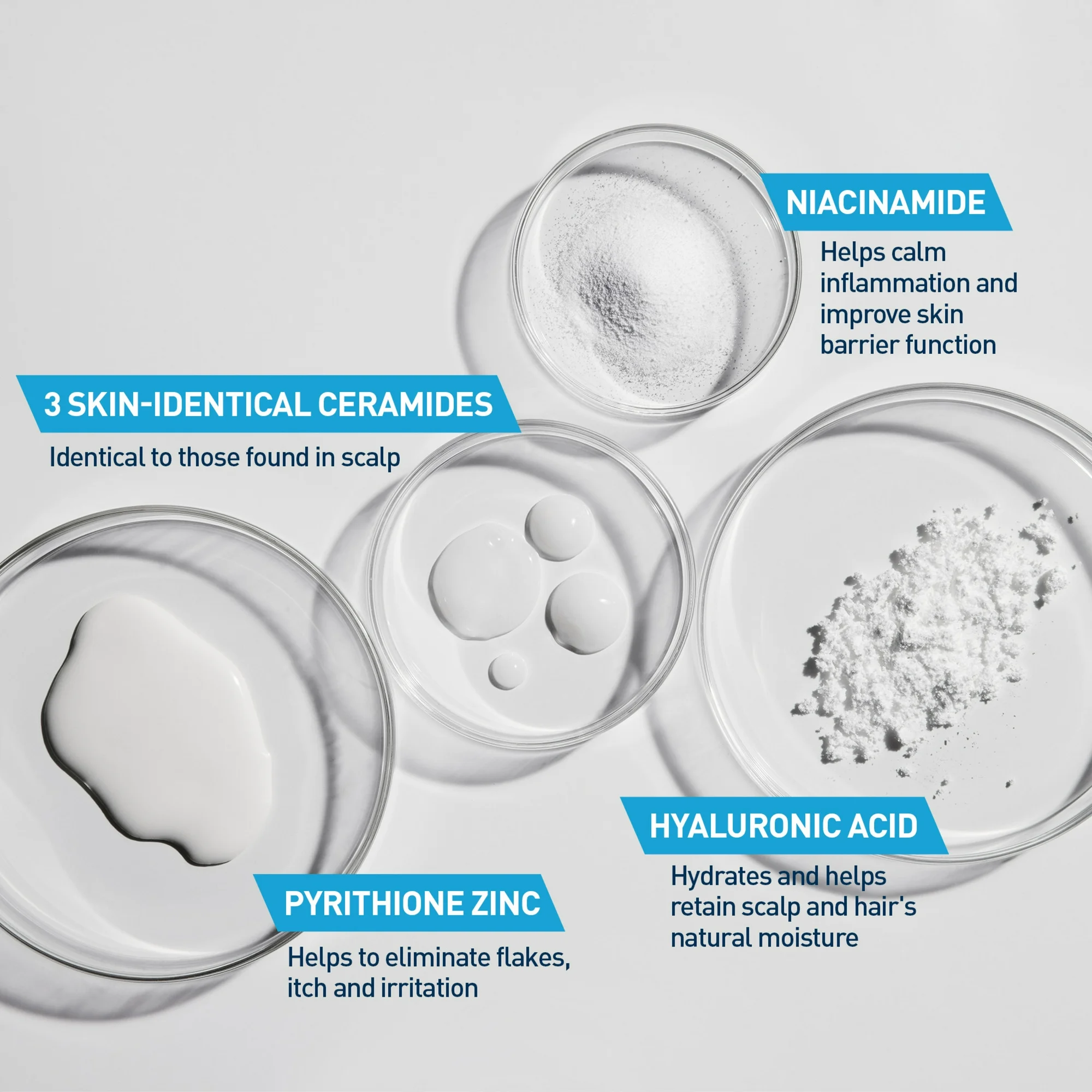 CeraVe Hydrating Anti-Dandruff Shampoo, Fragrance Paraben & Sulfate Free, All Hair Types, 12 fl oz - Image 8