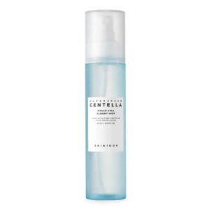 SKIN1004 Madagascar Centella Hyalu-Cica Cloudy Mist 4.05oz