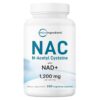 Micro Ingredients NAC with NAD+, 240 Vegetarian Capsules | 1,200 mg Per Serving | 2-in-1 N-Acetyl-L-Cysteine with Nicotinamide Adenine Dinucleotide | Non-GMO, cGMP Manufactured