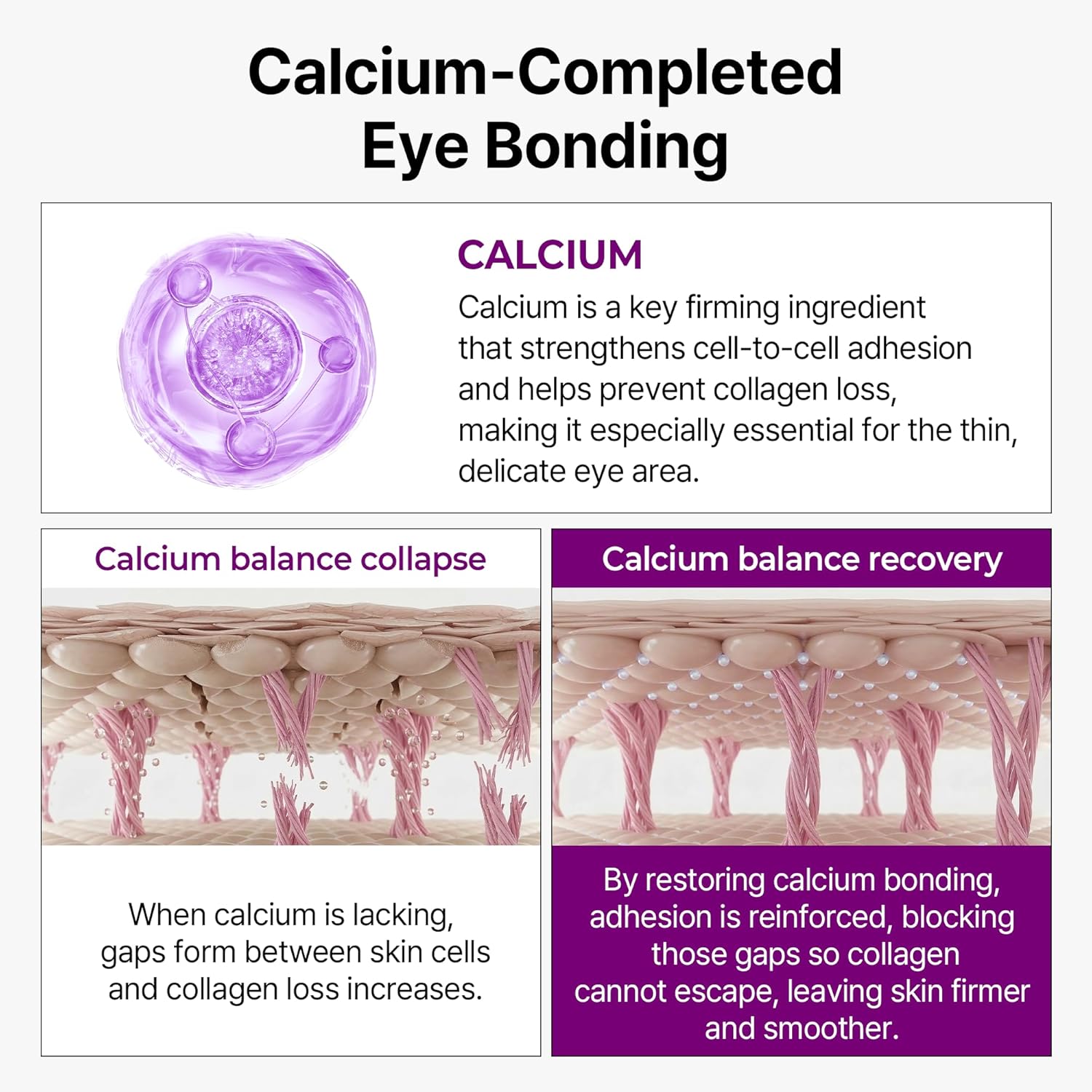 Dr Melaxin Calcium Bonding Eye Cream – Peptide & Hyaluronic Acid Eye Cream for Wrinkles, Dark Circles & Puffy Eyes, Firming and Hydrating Eye Treatment - Image 7