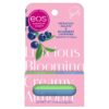 eos Limited Edition Lip Balm, Blueberry Lavender, Pistachio Gelato - Moisturizing, Hydrating Lip Balm, For Dry Lips, Shea Butter, Gift Set, Cruelty-Free, 0.14 oz, 2-Pack